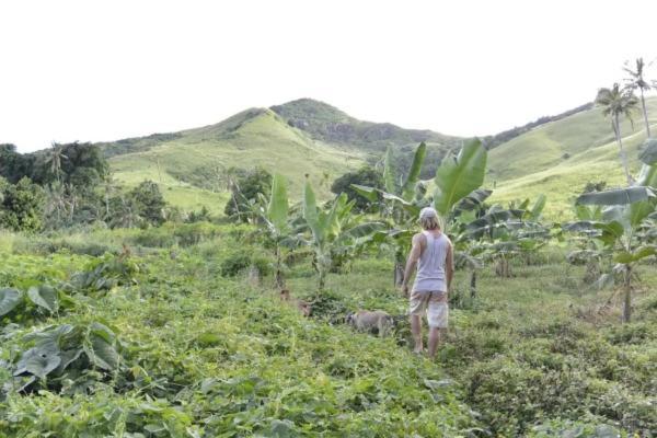 Bay Of Plenty Nature Lodge Nanuya Lailai Экстерьер фото