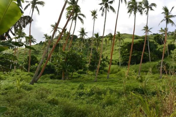 Bay Of Plenty Nature Lodge Nanuya Lailai Экстерьер фото
